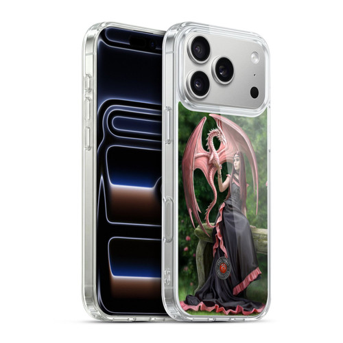 Anne Stokes Dragon Friendship Elegant Soft Gel Case for Apple iPhone 17 Pro Max