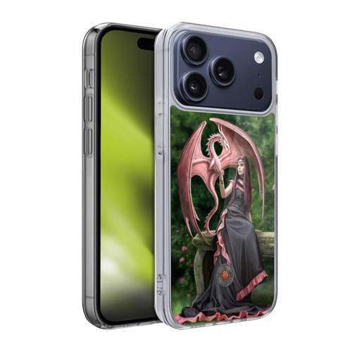 Anne Stokes Dragon Friendship Elegant Soft Gel Case for Apple iPhone 17 Pro