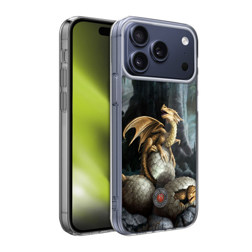 Anne Stokes Dragons Golden Treasures Soft Gel Case for Apple iPhone 17 Pro Max