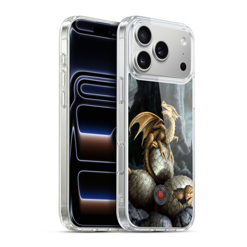 Anne Stokes Dragons Golden Treasures Soft Gel Case for Apple iPhone 17 Pro Max