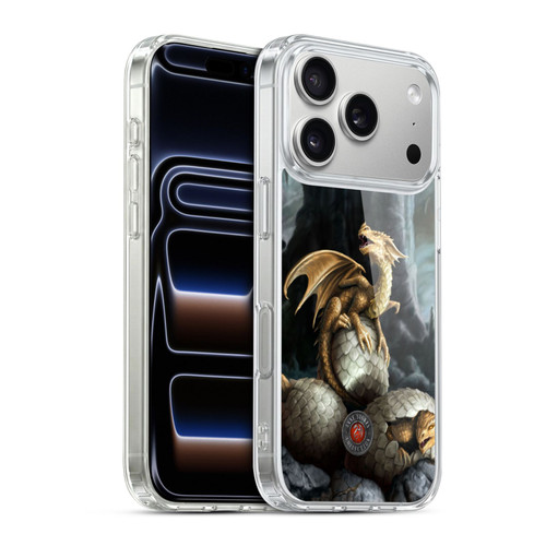 Anne Stokes Dragons Golden Treasures Soft Gel Case for Apple iPhone 17 Pro