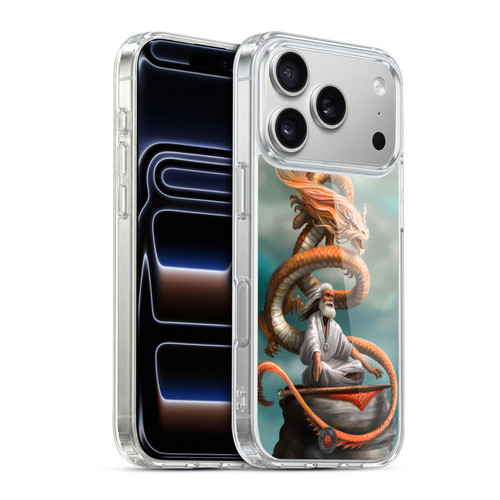 Anne Stokes Guardian Dragons The Hermit Soft Gel Case for Apple iPhone 17 Pro
