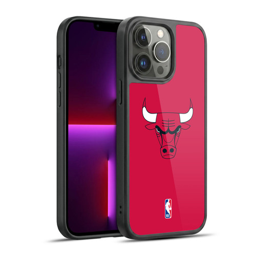NBA Chicago Bulls Plain Gel Armour Case For Apple iPhone 13 Pro Max
