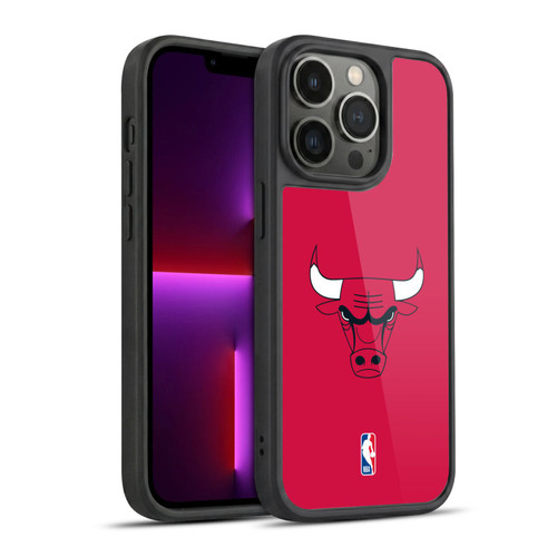 NBA Chicago Bulls Plain Gel Armour Case For Apple iPhone 13 Pro