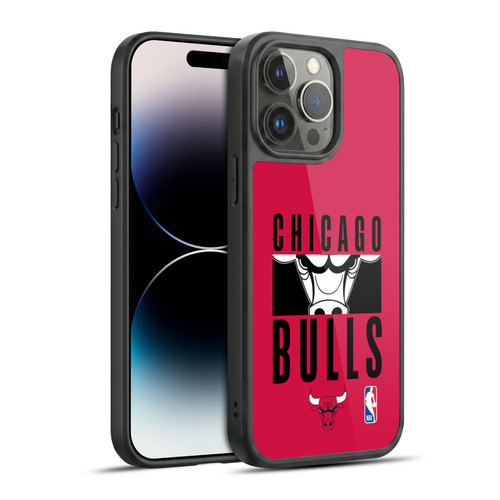 NBA Chicago Bulls Typography Gel Armour Case For Apple iPhone 14 Pro Max