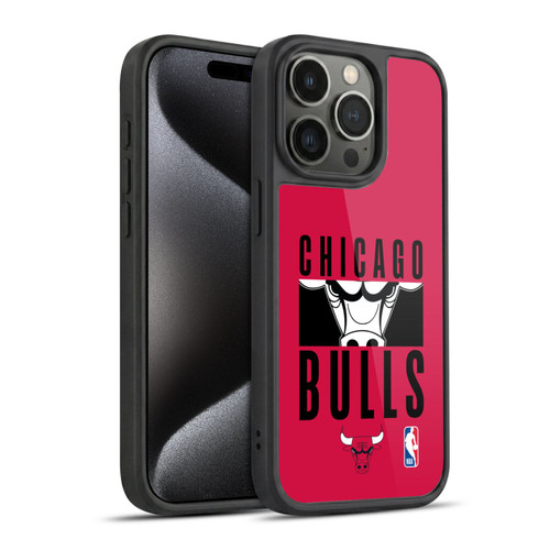 NBA Chicago Bulls Typography Gel Armour Case For Apple iPhone 15 Pro