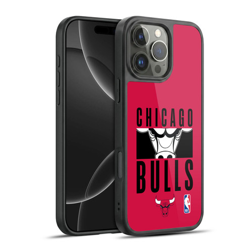 NBA Chicago Bulls Typography Gel Armour Case For Apple iPhone 16 Pro Max