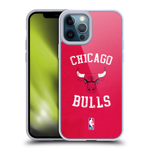NBA Chicago Bulls Distressed Soft Gel Case for Apple iPhone 12 Pro Max & MagSafe