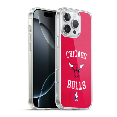 NBA Chicago Bulls Distressed Soft Gel Case for Apple iPhone 16 Pro Max & MagSafe