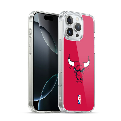 NBA Chicago Bulls Plain Soft Gel Case for Apple iPhone 16 Pro Max & MagSafe