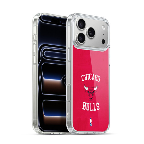 NBA Chicago Bulls Distressed Soft Gel Case for Apple iPhone 17 Pro Max