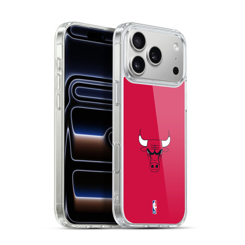 NBA Chicago Bulls Plain Soft Gel Case for Apple iPhone 17 Pro Max
