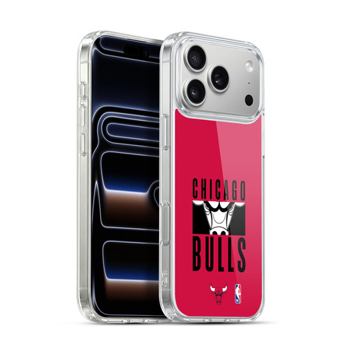 NBA Chicago Bulls Typography Soft Gel Case for Apple iPhone 17 Pro Max