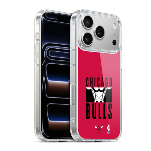 NBA Chicago Bulls Typography Soft Gel Case for Apple iPhone 17 Pro