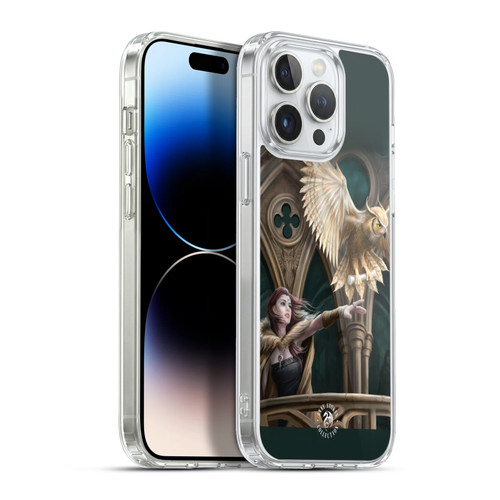 Anne Stokes Fantasy Characters Owl Messenger Soft Gel Case for Apple iPhone 13 Pro Max & MagSafe