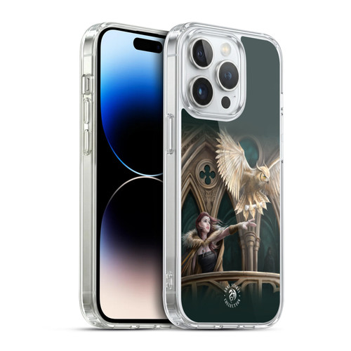 Anne Stokes Fantasy Characters Owl Messenger Soft Gel Case for Apple iPhone 14 Pro & MagSafe