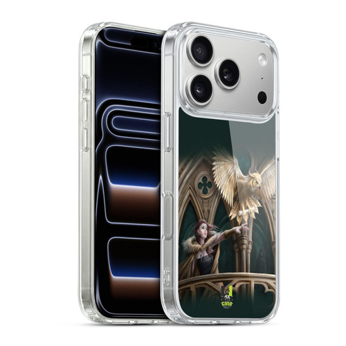 Anne Stokes Fantasy Characters Owl Messenger Soft Gel Case for Apple iPhone 17 Pro