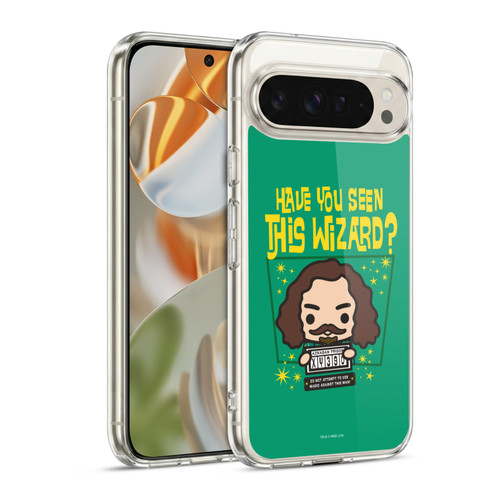 Harry Potter Deathly Hallows I Sirius Black Soft Gel Case for Google Pixel 9 / Pixel 9 Pro