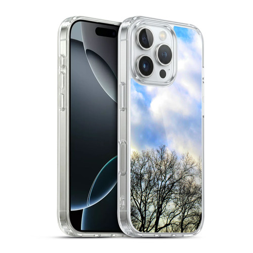 Haroulita Places Central Park Soft Gel Case for Apple iPhone 16 Pro & MagSafe