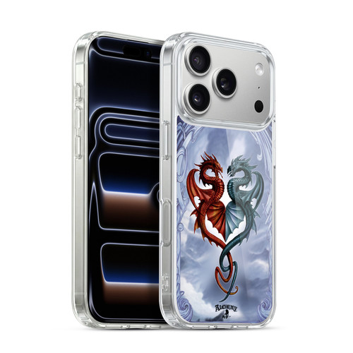 Alchemy Gothic Dragon Draconic Tryst Soft Gel Case for Apple iPhone 17 Pro
