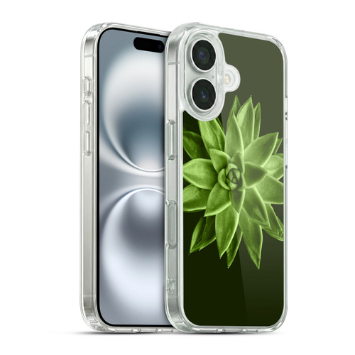 PLdesign Flowers And Leaves Echeveria Agavoides Soft Gel Case for Apple iPhone 16 & MagSafe