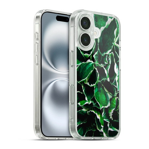PLdesign Flowers And Leaves Hosta Undulata Albomarginata Soft Gel Case for Apple iPhone 16 & MagSafe