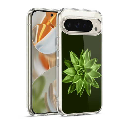 PLdesign Flowers And Leaves Echeveria Agavoides Soft Gel Case for Google Pixel 9 / Pixel 9 Pro
