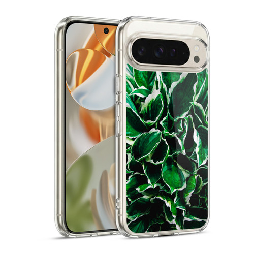 PLdesign Flowers And Leaves Hosta Undulata Albomarginata Soft Gel Case for Google Pixel 9 / Pixel 9 Pro