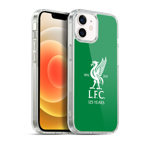 Liverpool Football Club Kit 2017/18 Home Goalkeeper Shirt Soft Gel Case for Apple iPhone 12 / iPhone 12 Pro & MagSafe