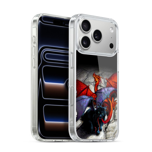 Stanley Morrison Art Bat Winged Black Cat & Dragon Soft Gel Case for Apple iPhone 17 Pro
