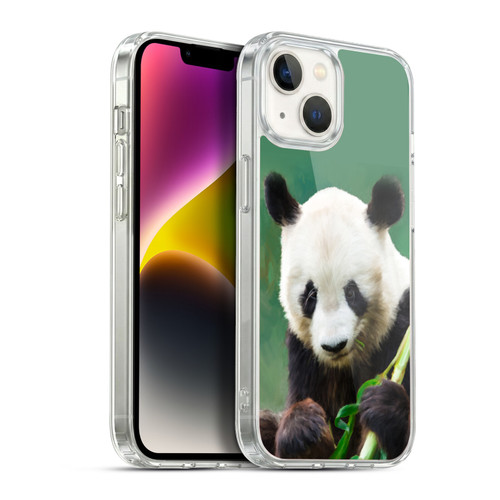 Simone Gatterwe Wildlife Panda Soft Gel Case for Apple iPhone 14