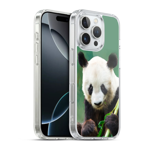 Simone Gatterwe Wildlife Panda Soft Gel Case for Apple iPhone 16 Pro & MagSafe