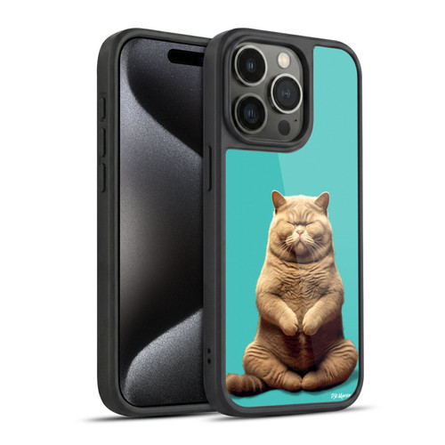 P.D. Moreno Furry Fun Artwork Sitting Cat Gel Armour Case For Apple iPhone 15 Pro
