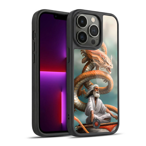 Anne Stokes Guardian Dragons The Hermit Gel Armour Case For Apple iPhone 13 Pro