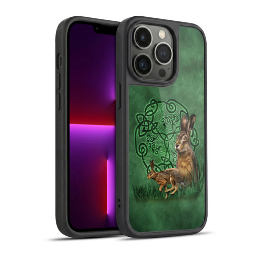 Brigid Ashwood Celtic Wisdom 2 Hare Gel Armour Case For Apple iPhone 13 Pro