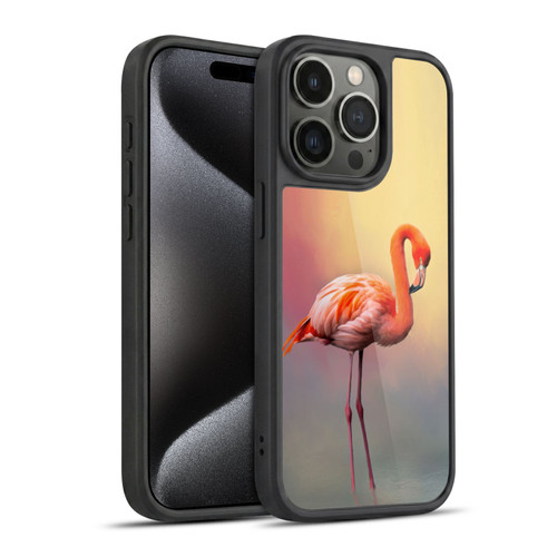 Simone Gatterwe Assorted Designs American Flamingo Gel Armour Case For Apple iPhone 15 Pro