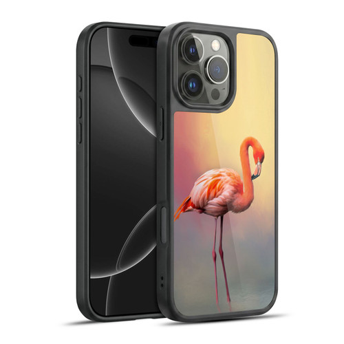 Simone Gatterwe Assorted Designs American Flamingo Gel Armour Case For Apple iPhone 16 Pro Max