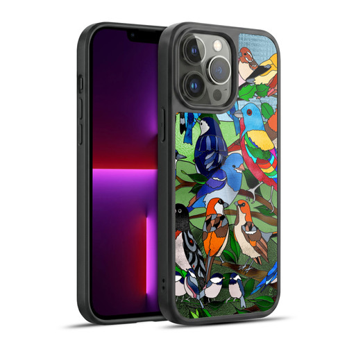 Suzan Lind Birds Stained Glass Gel Armour Case For Apple iPhone 13 Pro Max