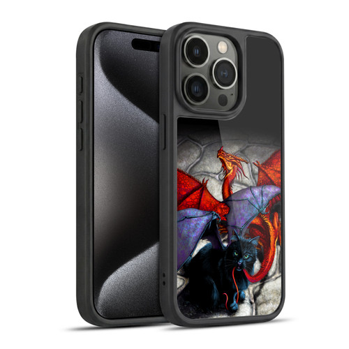 Stanley Morrison Art Bat Winged Black Cat & Dragon Gel Armour Case For Apple iPhone 15 Pro