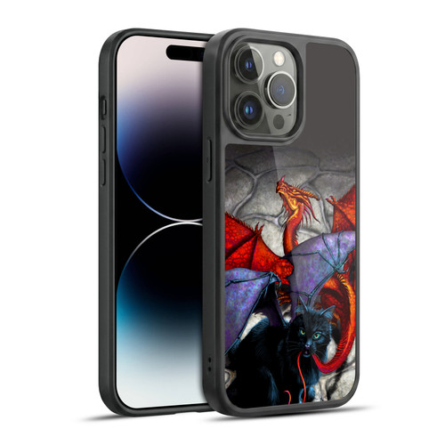 Stanley Morrison Dragons 3 Bat Winged Cat Vs Red Gel Armour Case For Apple iPhone 14 Pro Max