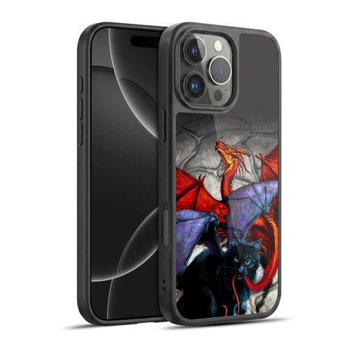 Stanley Morrison Dragons 3 Bat Winged Cat Vs Red Gel Armour Case For Apple iPhone 16 Pro Max