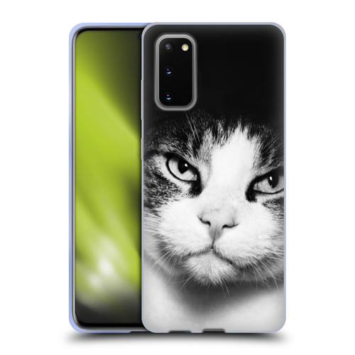 Dorit Fuhg Animals & Urban Life Cat Stare Soft Gel Case for Samsung Galaxy S20 / S20 5G