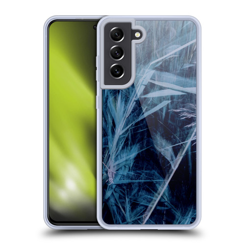 Dorit Fuhg Mystic Nature Blue Grass Soft Gel Case for Samsung Galaxy S21 FE 5G & MagSafe