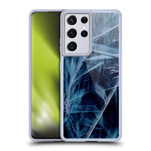 Dorit Fuhg Mystic Nature Blue Grass Soft Gel Case for Samsung Galaxy S21 Ultra 5G & MagSafe