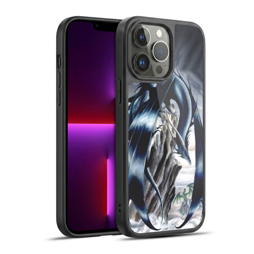 Ruth Thompson Dragons 2 Stormchaser Gel Armour Case For Apple iPhone 13 Pro Max