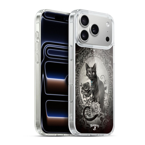 Alchemy Gothic Cats Paracelsus Soft Gel Case for Apple iPhone 17 Pro Max