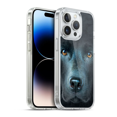 Vincent Hie Big Face Dogs Black Labrador Soft Gel Case for Apple iPhone 14 Pro & MagSafe