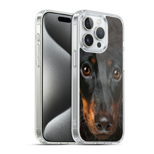 Vincent Hie Big Face Dogs Dachshund Soft Gel Case for Apple iPhone 15 Pro & MagSafe
