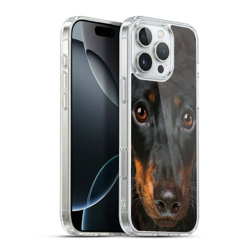 Vincent Hie Big Face Dogs Dachshund Soft Gel Case for Apple iPhone 16 Pro Max & MagSafe
