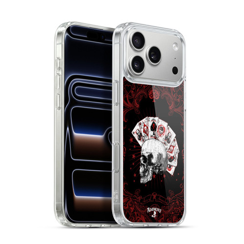 Alchemy Gothic Skull And Cards Aces Of Anarchy Soft Gel Case for Apple iPhone 17 Pro Max